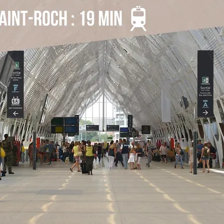 Le Chic Urbain - Hopitaux Facultes - Chateau D'o - Free Parking Lejlighed Montpellier
