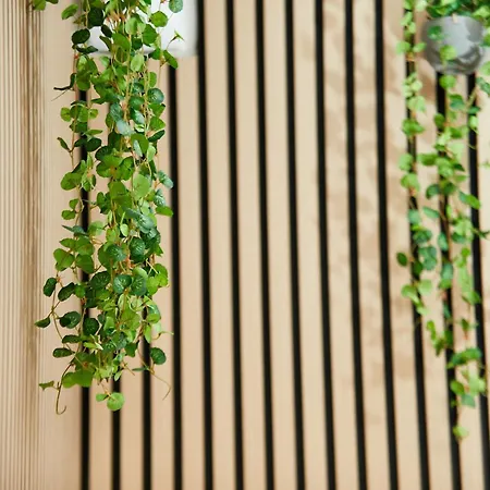 Lejlighed Le Chic Urbain - Hopitaux Facultes - Chateau D'o - Free Parking Montpellier