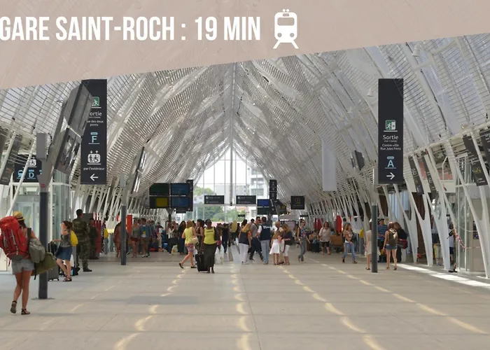 Le Chic Urbain - Hopitaux Facultes - Chateau D'o - Free Parking شقة مونبيلييه